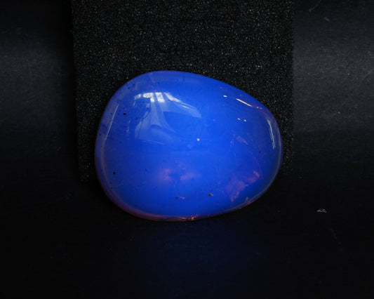 虫入りバーマイト(ミャンマー産アンバー、琥珀)