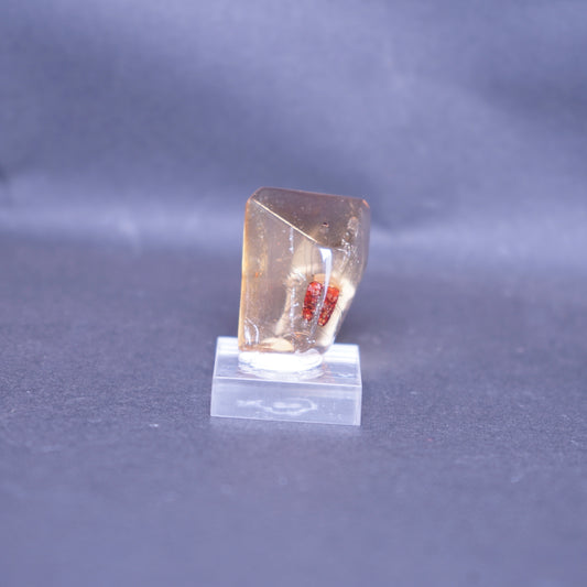 虫入りアンバー