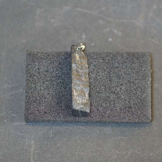 ハイパーシーン