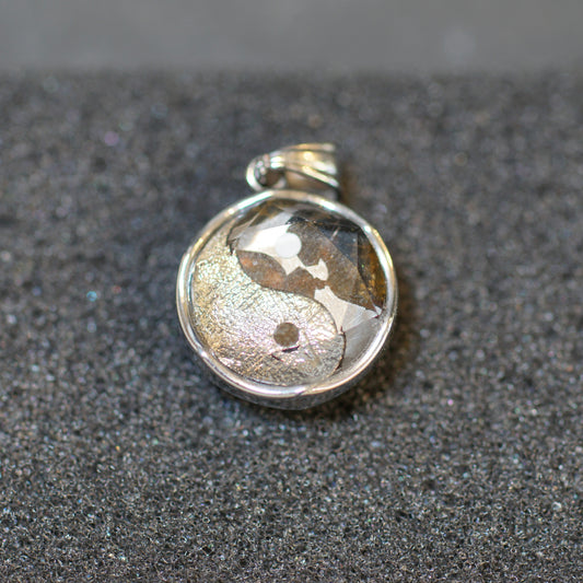 ギベオン&パラサイト隕石太極図ペンダントトップ