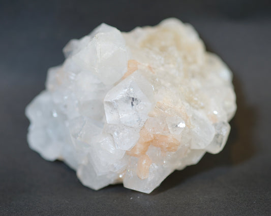 アポフィライト/スティルバイト 共生