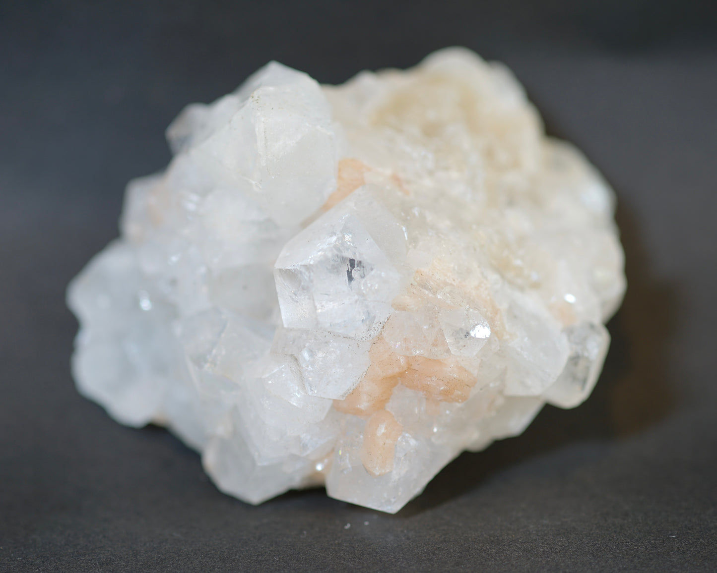 アポフィライト/スティルバイト 共生