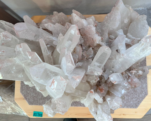 ドリームシクレクラスター(ピンクレムリアンシードクラスター)