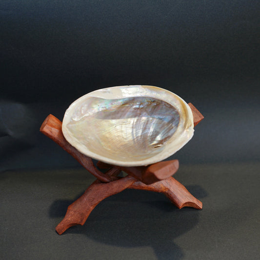 スマッシング用　アバロン皿